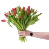 Bouquet of red tulips